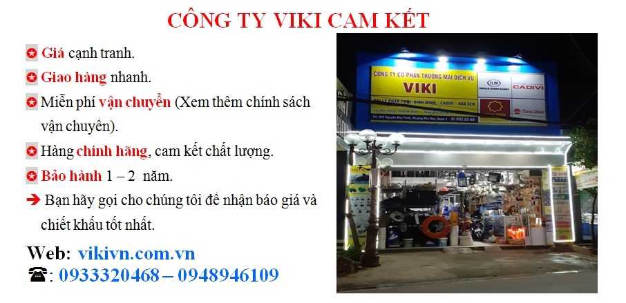 CÔNG TY CỔ PHẦN THƯƠNG MẠI DỊCH VỤ VIKI