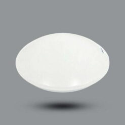 Đèn LED ốp trần D295 12W sáng trắng Paragon PLCA295L12/65
