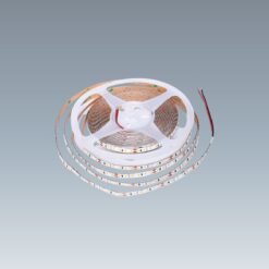 Dây LED Dán 24V - 12W/m