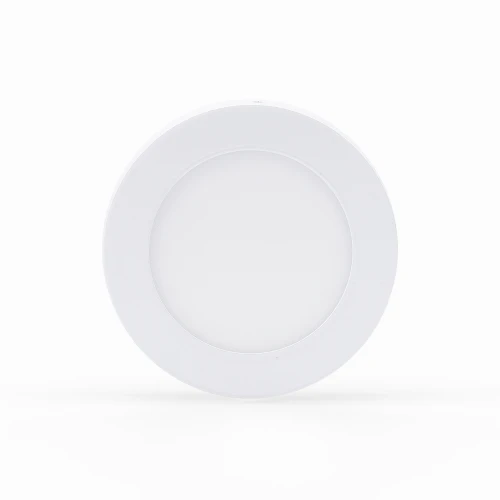 Đèn LED ốp trần LN09 220/22W Rạng Đông