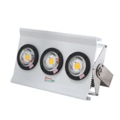Đèn Led đánh cá D DC04L/300W Rạng Đông