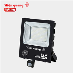 Đèn led đánh cá 100W ĐQ LEDFL02 100765 WP Điện Quang
