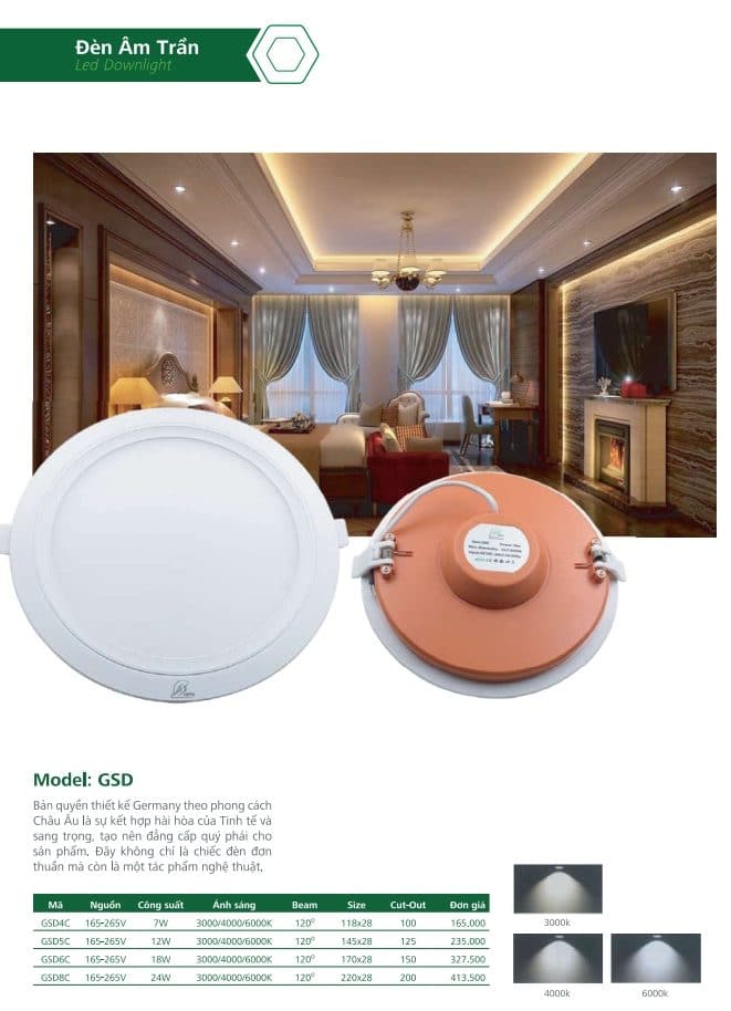 Den Am Tran Gs Lighting